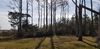 0000 Lige Piner Rd . photo